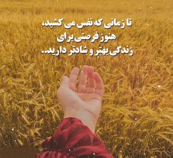 جملات شادی آور کوتاه و زیبا { 40 جملات و سخنان انرژی مثبت شاد }