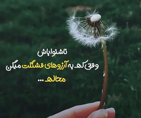 بیو ناب جدید / 200 متن جدید بیو تلگرام و اینستاگرام جدید گلچین شده متن های ناب