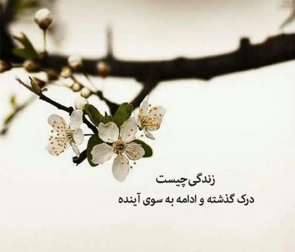 بیو ناب جدید / 200 متن جدید بیو تلگرام و اینستاگرام جدید گلچین شده متن های ناب