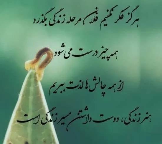 بیو زندگی واتساپ تلگرام (40 متن بیوگرافی معنی زندگی با جملات سنگین)