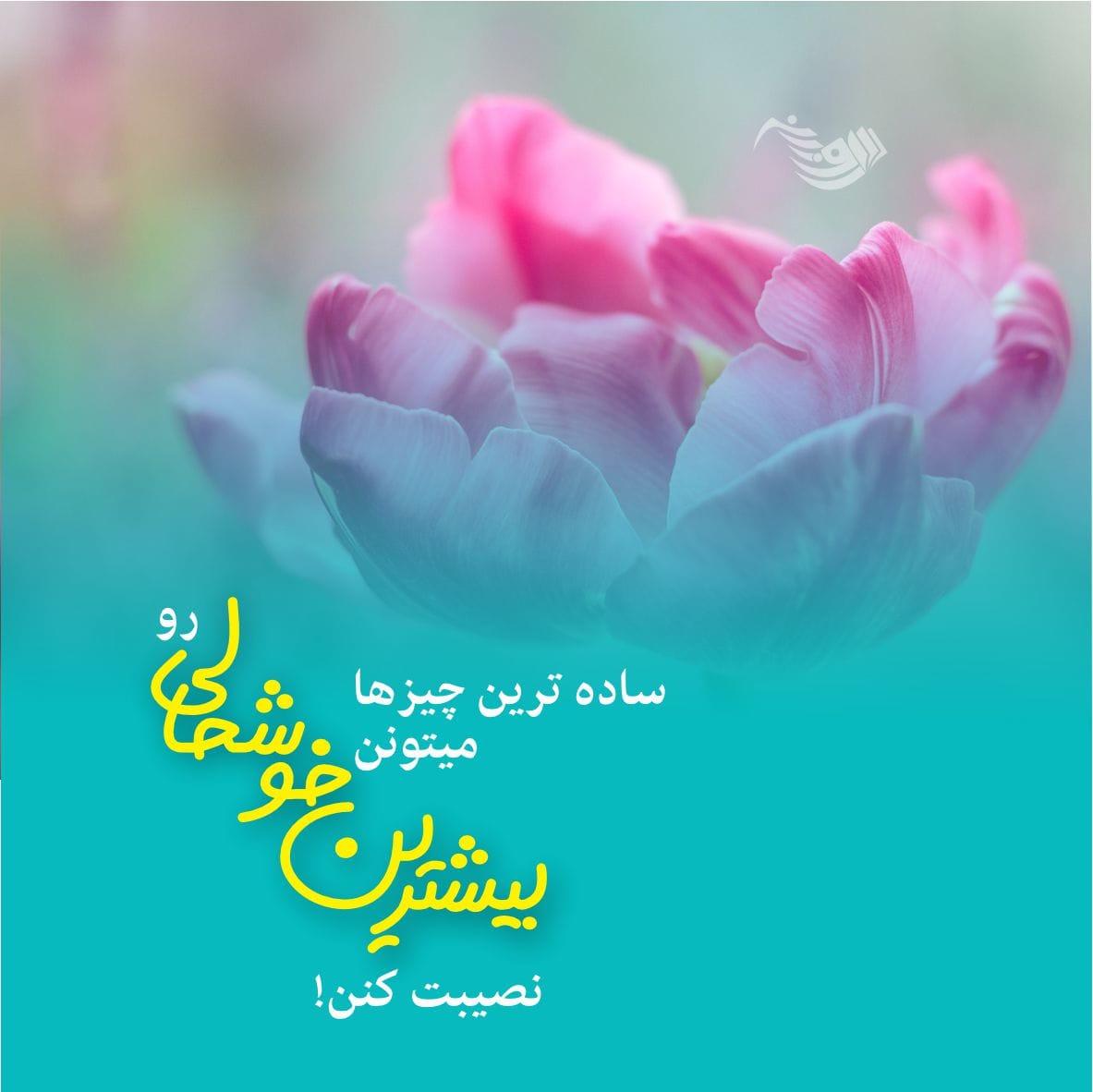 متن در مورد خوشحالی از ته دل؛ جملات و شعر در وصف لحظات شاد بودن