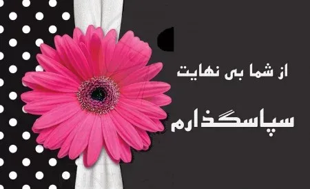 جملات زیبا برای تشکر؛ 50 متن رسمی و صمیمانه سپاسگزاری از عزیزان