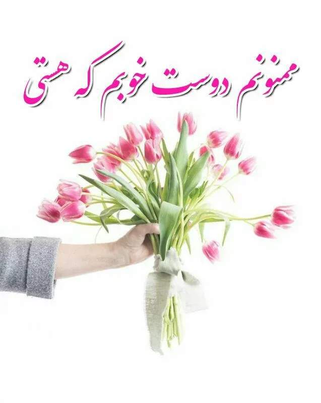 جملات زیبا برای تشکر؛ 50 متن رسمی و صمیمانه سپاسگزاری از عزیزان