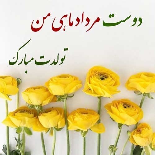 تبریک تولد رفیق مردادی [ متن احساسی تولدت مبارک دوست مرداد ماهی ]