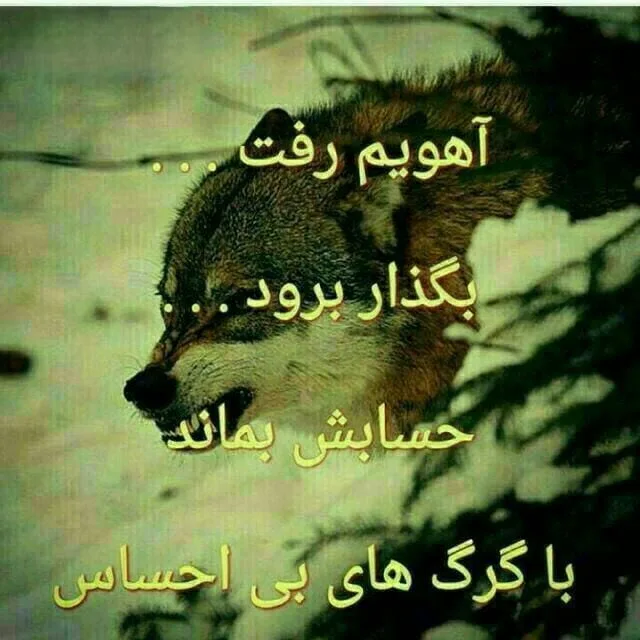 50 جملات مردانه سنگین؛ جمله با معنی و سنگین مرد بودن و مردونگی