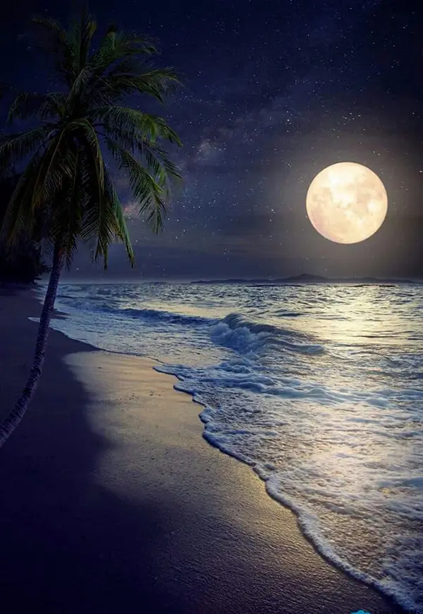 متن در مورد آرامش شب و ماه + جملات زیبا درباره شب زیبا و آرام