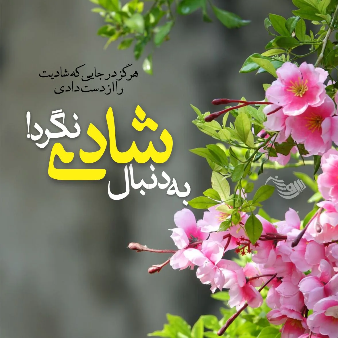 متن شیک با کلاس + جملات لاکچری سنگین خاص و زیبا