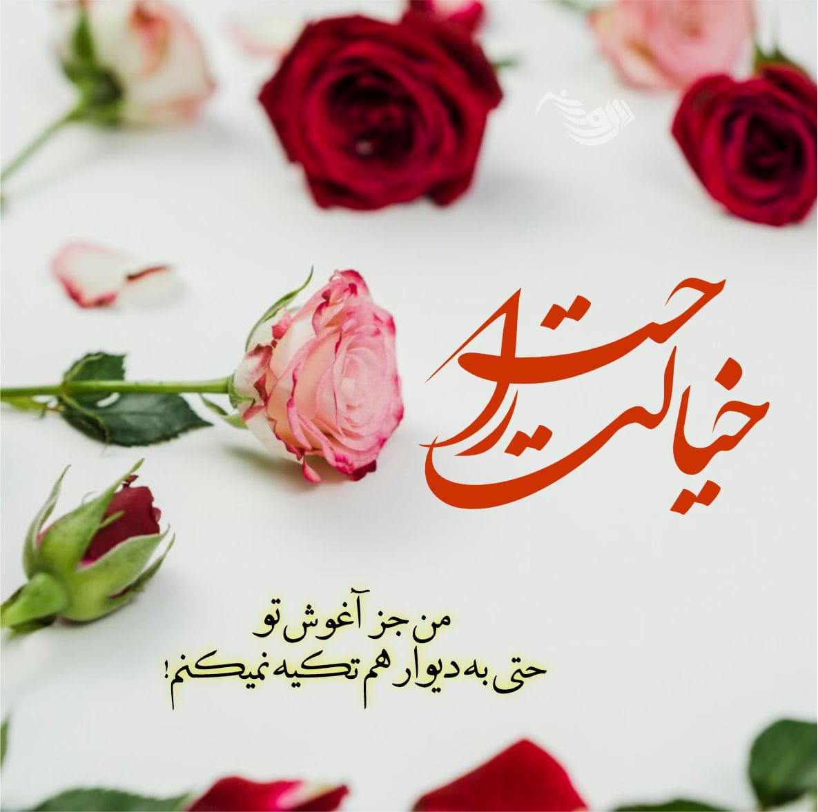 متن عاشقانه شاد دونفره / 30 جمله قشنگ و شیک با حال و هوای احساسی