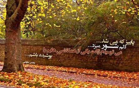 متن رسیدن فصل پاییز + جملات و اشعار برای فرا رسیدن فصل خزان با عکس نوشته
