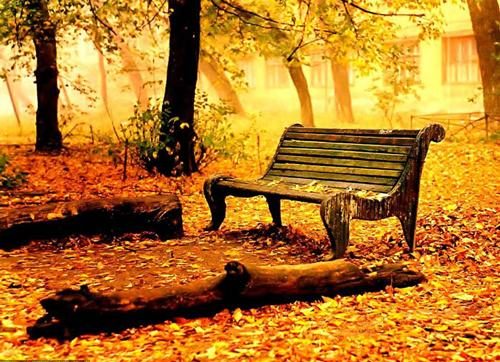متن عاشقانه پاییزی؛ متن و جملات و اس ام اس عاشقانه خاص پاییزی