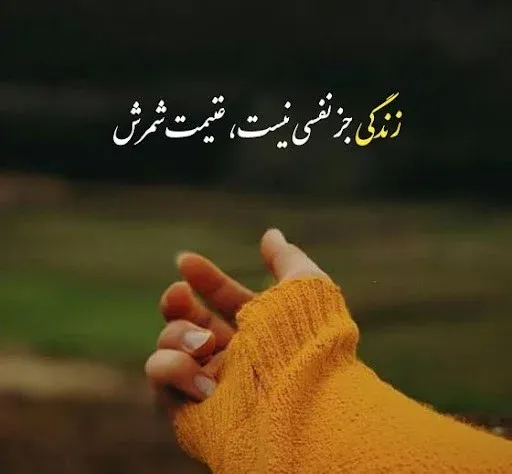 متن آموزنده درباره زندگی (70 متن و سخنان ناب با ارزش بزرگان)