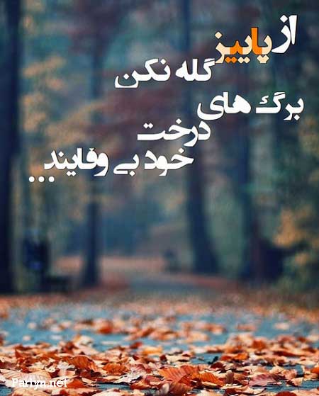 اشعار در مورد پاییز + مجموعه شعر احساسی و عاشقانه از شاعران بزرگ موضوع فصل پاییز
