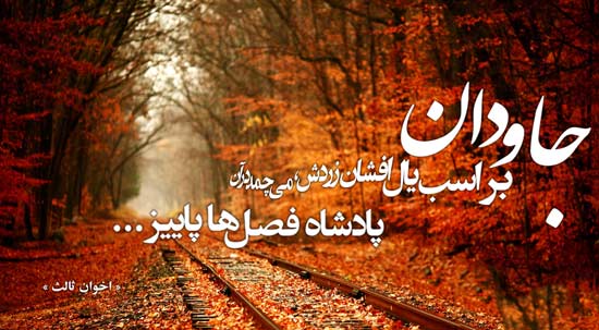 اشعار در مورد پاییز + مجموعه شعر احساسی و عاشقانه از شاعران بزرگ موضوع فصل پاییز