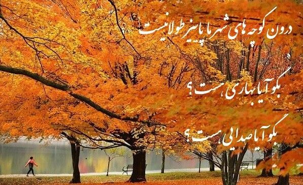 اشعار در مورد پاییز + مجموعه شعر احساسی و عاشقانه از شاعران بزرگ موضوع فصل پاییز