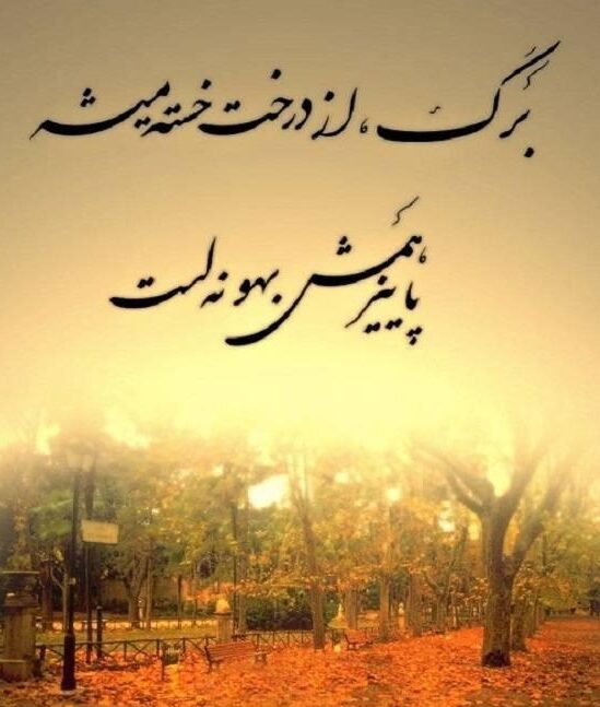 متن غمگین پاییزی + جملات احساسی و زیبای غمگین فصل پاییز
