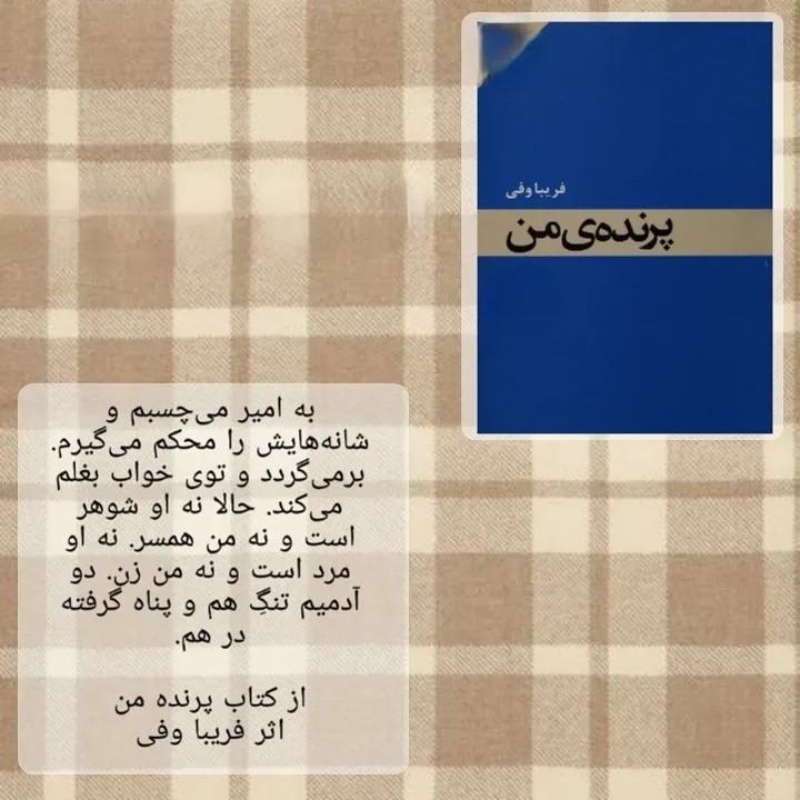 جملات زیبا از فریبا وفی رمان نویس ایرانی (20 متن احساسی قشنگ)