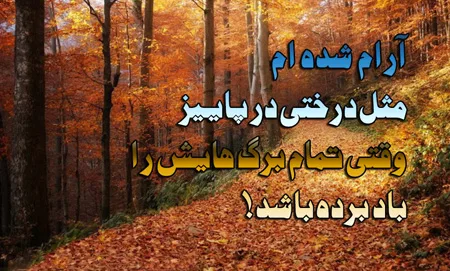جملات بزرگان درباره پاییز (50 سخنان احساسی دلنشین درباره خزان)