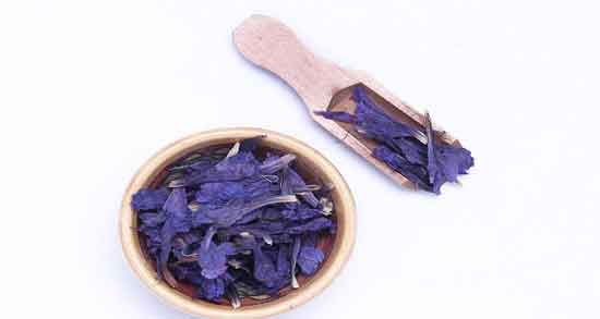 خواص و مضرات دمنوش گل گاوزبان ؛ همه چیز درباره مصرف دمنوش گل گاوزبان