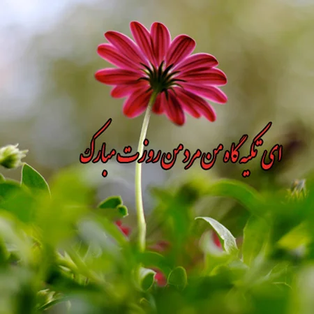 دلنوشته روز پدر و مرد (جملات زیبای سنگین و کوتاه برای روز مرد و روز پدر)