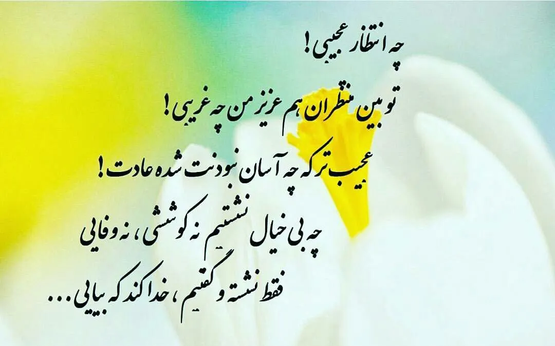 متن نیمه شعبان و تبریک ولادت حضرت مهدی (ج) با اشعار و جملات زیبا