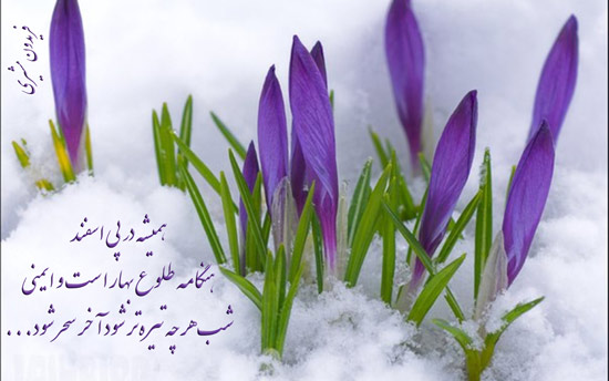 شعر در مورد ماه اسفند + اشعار نو و سنتی در مورد اسفند ماه