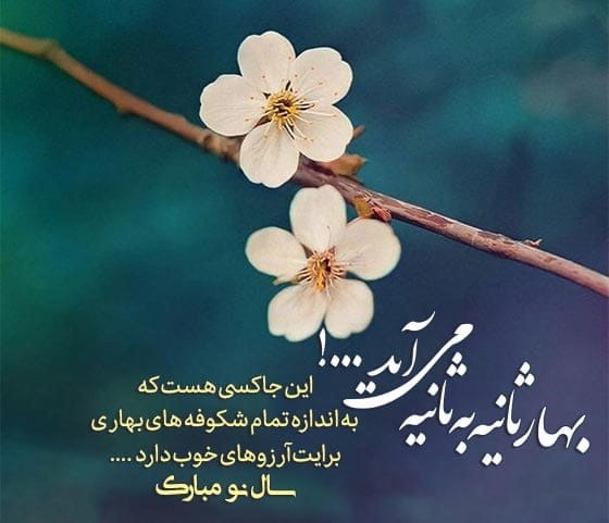 جملات فلسفی تبریک عید نوروز؛ متن های سنگین مفهومی تبریک سال نو