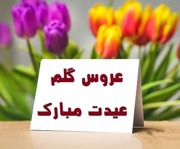 تبریک نوروز به عروس؛ جملات زیبای و محبت آمیز عیدت مبارک عروسم