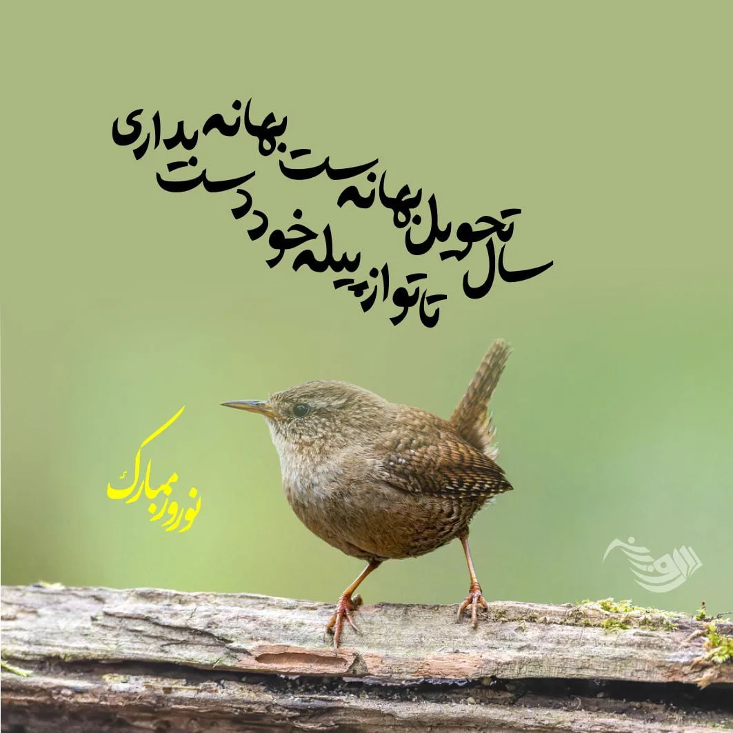 شعر تحویل سال نو + متن و جملات زیبای بهار و آغاز سال جدید