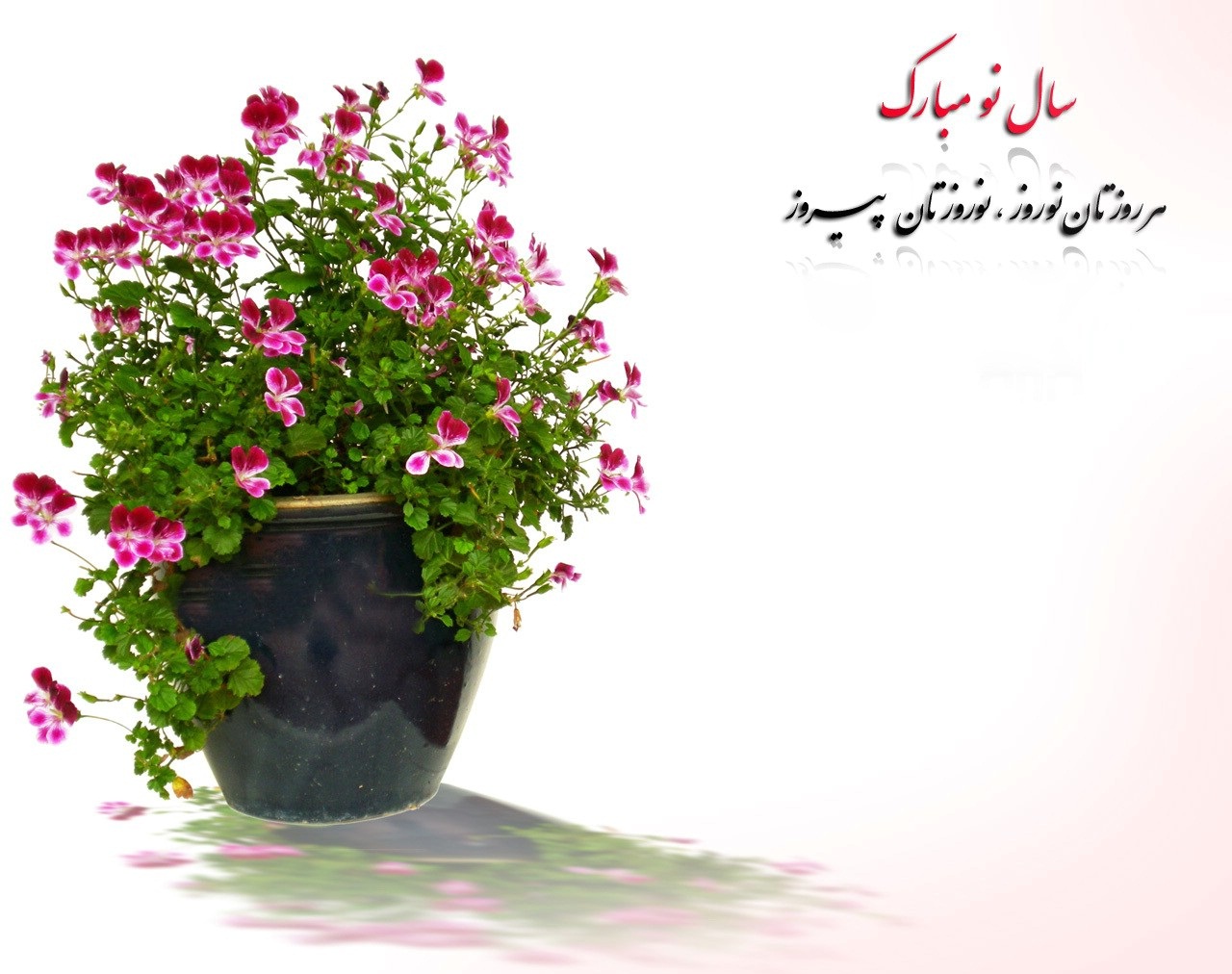 تبریک سال نو با اشعار، جملات ادبی و متن های صمیمانه