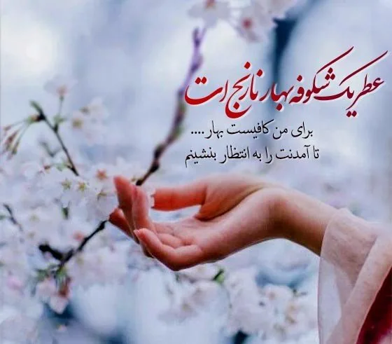 متن درباره بهار برای استوری؛ جملات کوتاه و دلنشین در وصف بهار
