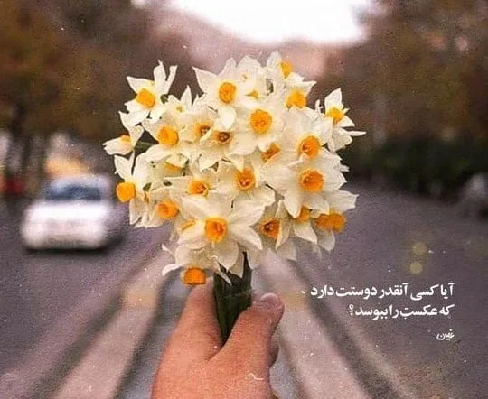 متن غمگین بهار + شعر و جملات غمگین بهاری