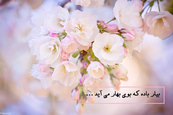 تبریک شروع فصل بهار + جملات کوتاه عاشقانه در مورد نو شدن و تازگی طبیعت