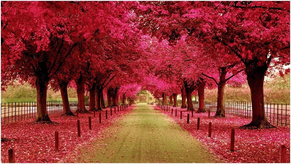 متن رسمی صبح بخیر بهاری + جملات سلام صبح بخیر اداری برای همکار و رئیس