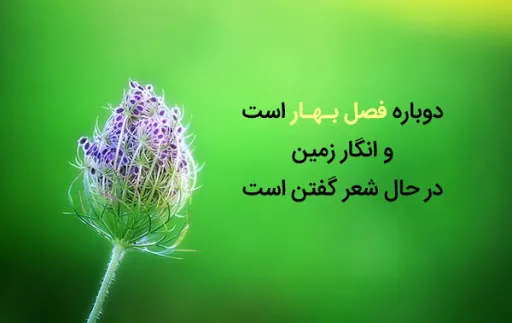 متن درباره سر سرسبزی بهار؛ جملات درباره طبیعت زیبای بهاری