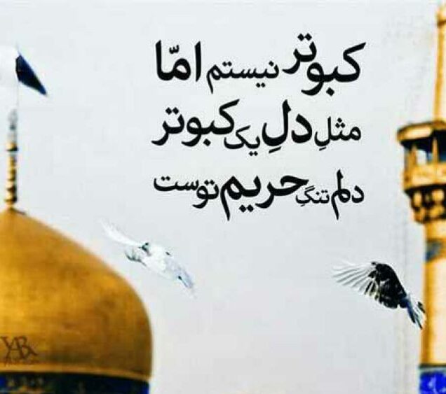 متن دلتنگی امام رضا و حرم حضرت در مشهد با عکس نوشته از حرم و ضریح
