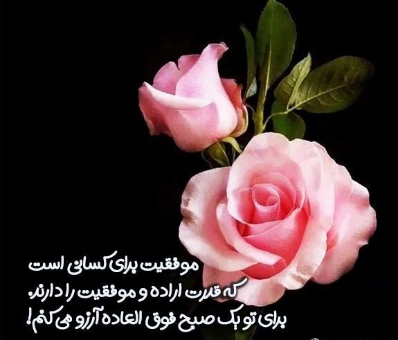 جملات شکرگزاری مثبت کوتاه و بهترین متن های تشکر روزانه از خداوند