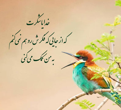 جملات شکرگزاری مثبت کوتاه و بهترین متن های تشکر روزانه از خداوند