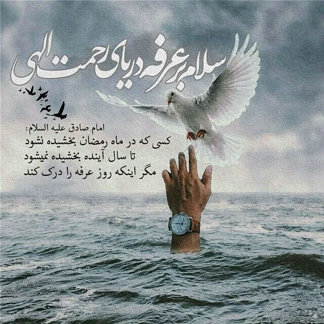 پیام تبریک روز عرفه (متن جدید، جملات و عکس نوشته روز عرفه)