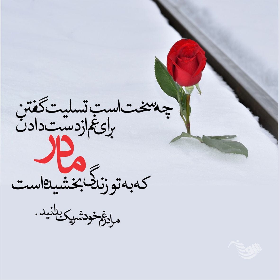 متن تسلیت گفتن (کوتاه، بلند، ادبی، رسمی و صمیمانه) برای فوت عزیزان و اقوام