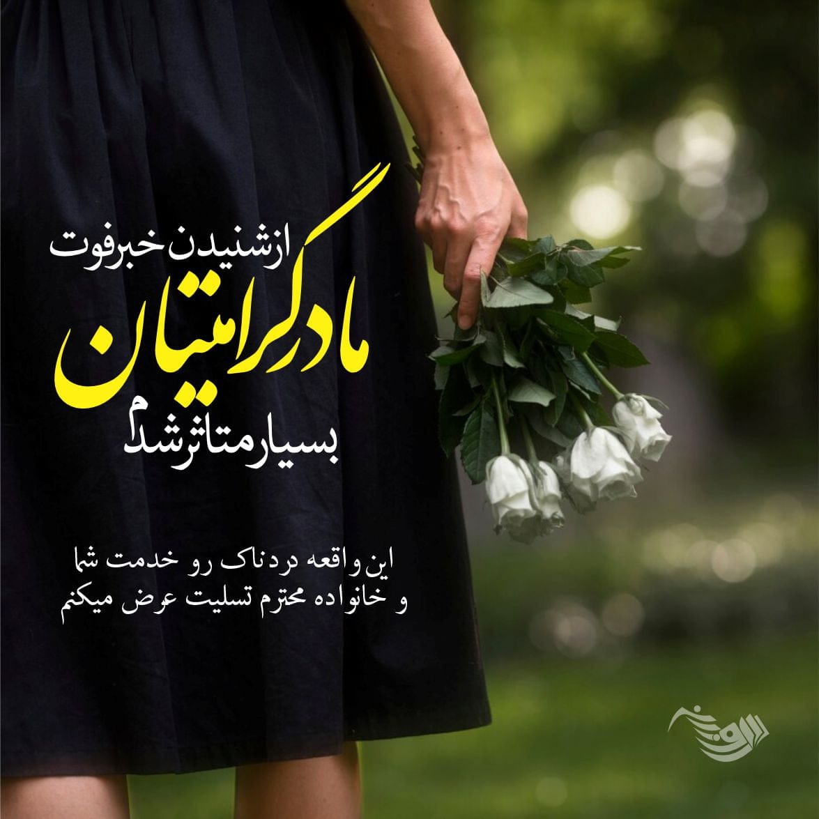 متن تسلیت گفتن (کوتاه، بلند، ادبی، رسمی و صمیمانه) برای فوت عزیزان و اقوام