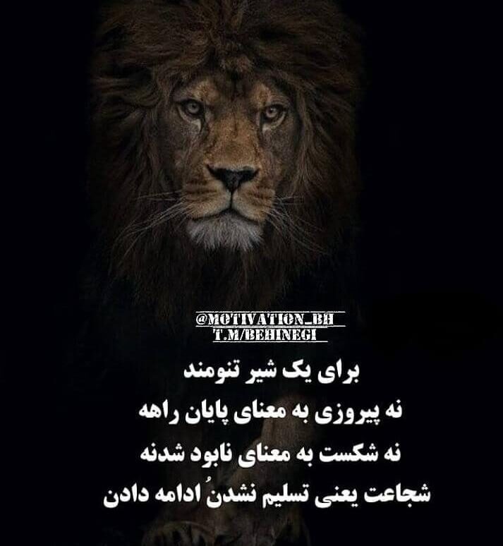 جملات انگیزشی شجاعت (نقل قول های زیبا در مورد شجاع بودن با متن های مثبت)