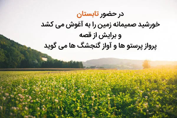 شعر تابستان | گلچین اشعار کوتاه و بلند فصل زیبای تابستان