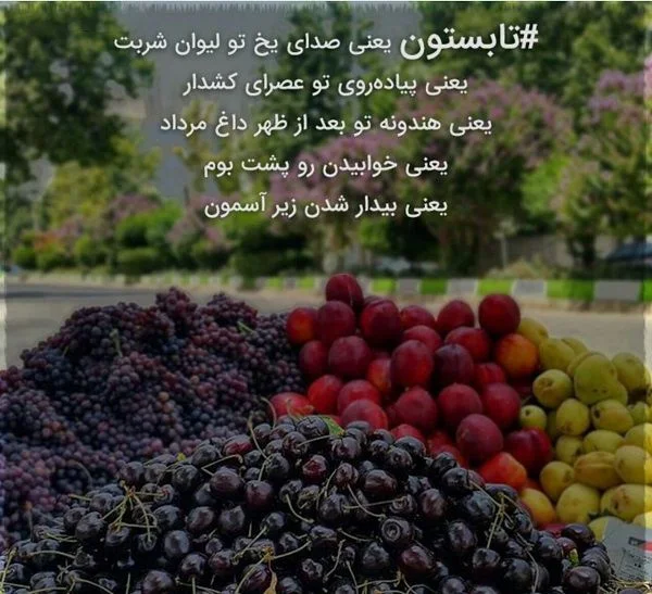 جملات عاشقانه خاص در مورد تابستان + متن کپشن و استوری ویژه فصل گرما و تابستان