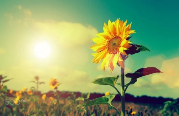 دلنوشته تابستان با متن های احساسی درباره فصل زیبای گرما