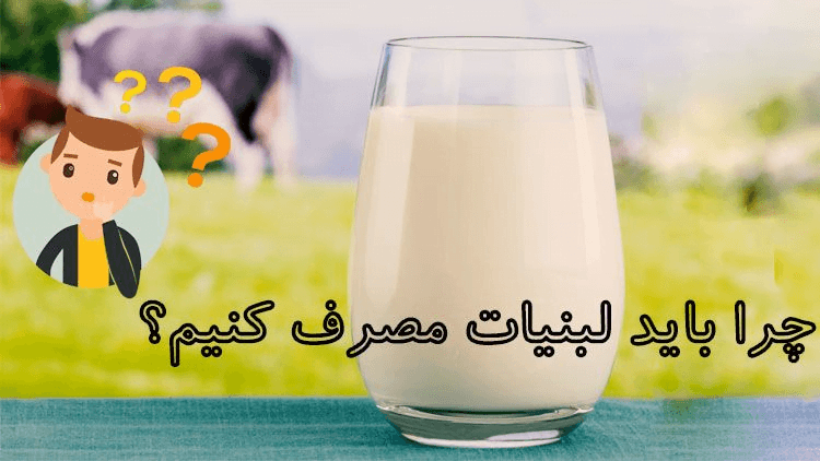 8 مورد از مزایای مصرف لبنیات + ارزش غذایی لبنیات