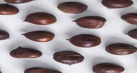 آرد بلوط و ماست ایا ترکیب ارد بلوط و ماست برای بدن مفید است