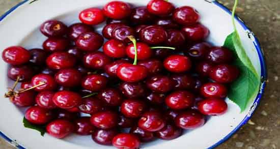 آلبالو برای دیابت ضرر دارد ؛ همه چیز درباره مضرات خوردن آلبالو برای افراد دیابتی