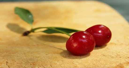 آلبالو و رفلاکس معده ؛ خاصیت خوردن آلبالو برای درمان رفلاکس معده