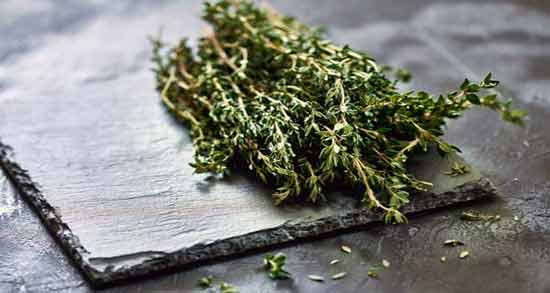 آویشن از چند ماهگی ؛ از چند ماهگی می توان به نوزاد آویشن داد؟