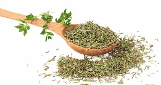 آویشن برای پلاکت خون ؛ خواص و مضرات خوردن آویشن برای پلاکت خون